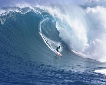 1531449465696343.jpg 1531449465696343.jpg