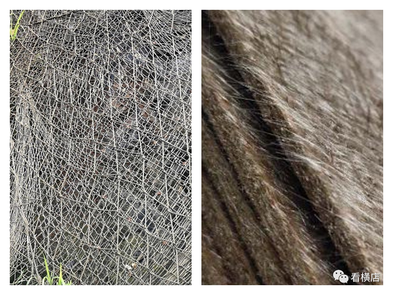 1566112039839176.jpg 微信圖片_20190818150646.jpg